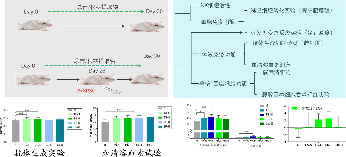 1661757290437633.jpg rd3.jpg