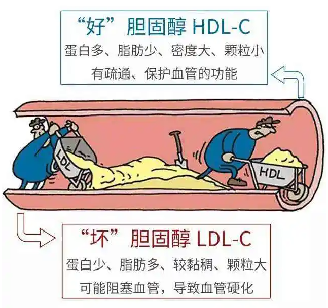 1675407416138523.png 3.png